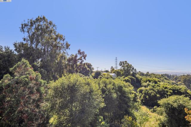 Image 30 of 60 For 25321 Morse Ct