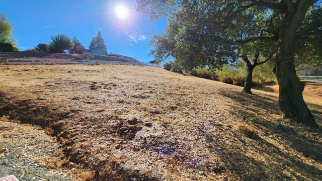 2894 Stagecoach Drive, Valley Springs CA: https://media.crmls.org/mediaz/b64c7514-d8a6-4c20-8fd0-91c0b6b4feb5.jpg
