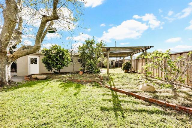 3115 Calzar Drive, San Jose CA: https://media.crmls.org/mediaz/b6683517-32a3-4d5f-89f4-fc42b9ba0f8f.jpg