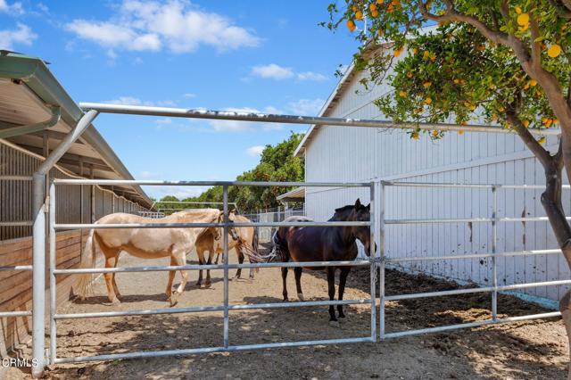 18-web-or-mls-18 - Horse Corral