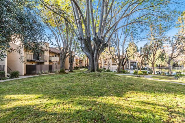 259 N Capitol Avenue, San Jose CA: https://media.crmls.org/mediaz/b685024e-1788-47a3-b544-ebe98c3711f8.jpg