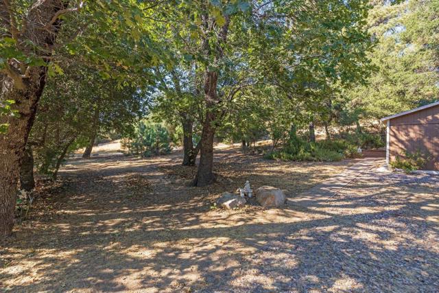 3221 Dolores Dr, Julian CA: https://media.crmls.org/mediaz/b6868c43-6e09-4685-b88f-7d69b4cefd77.jpg
