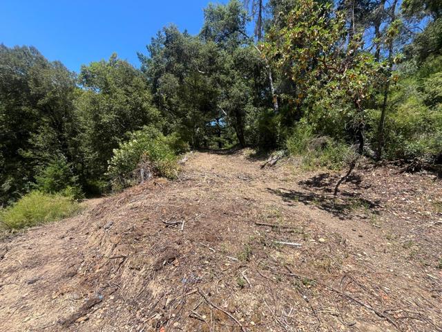 0 Deer Creek (Lot 21), Boulder Creek CA: https://media.crmls.org/mediaz/b69650d4-8c67-4b2e-992a-9a0437158f8e.jpg
