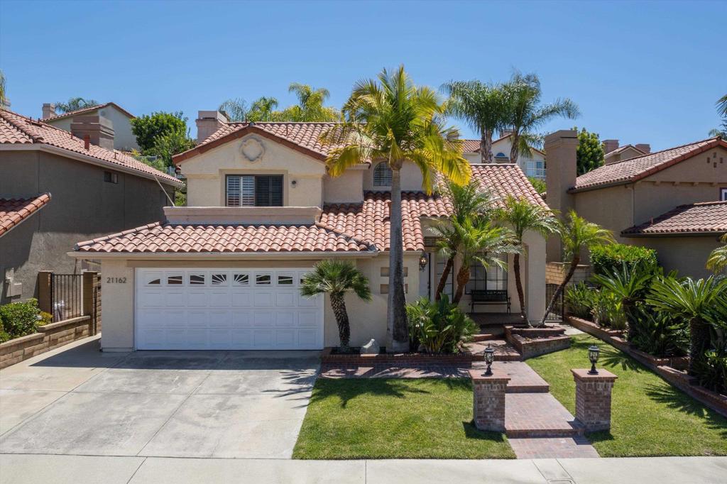 21162 Whitebark