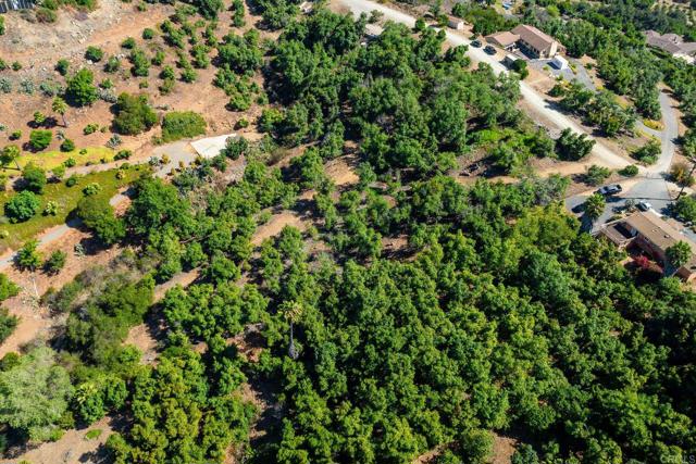 0 Wilt Road, Fallbrook CA: https://media.crmls.org/mediaz/b69a0e64-b505-4bfc-8da2-552894ce64e0.jpg