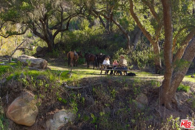 1915 Monte Alegre Drive, Carpinteria CA: https://media.crmls.org/mediaz/b69a4863-b602-4474-8c8d-f13cb8a1c0a3.jpg