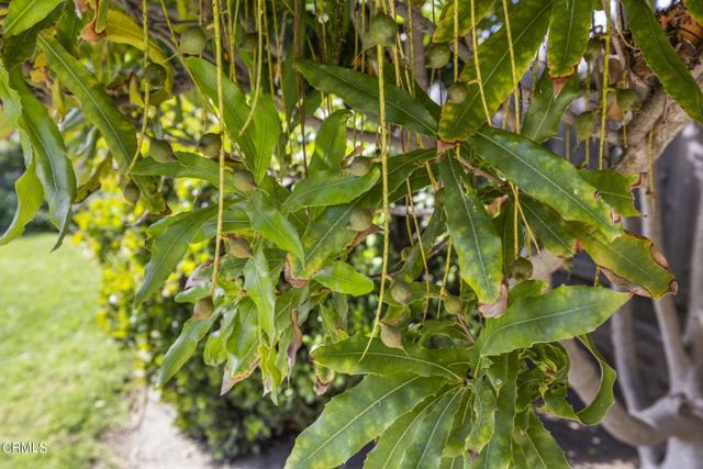 Image 25 of 58 For 9417 Petit Court