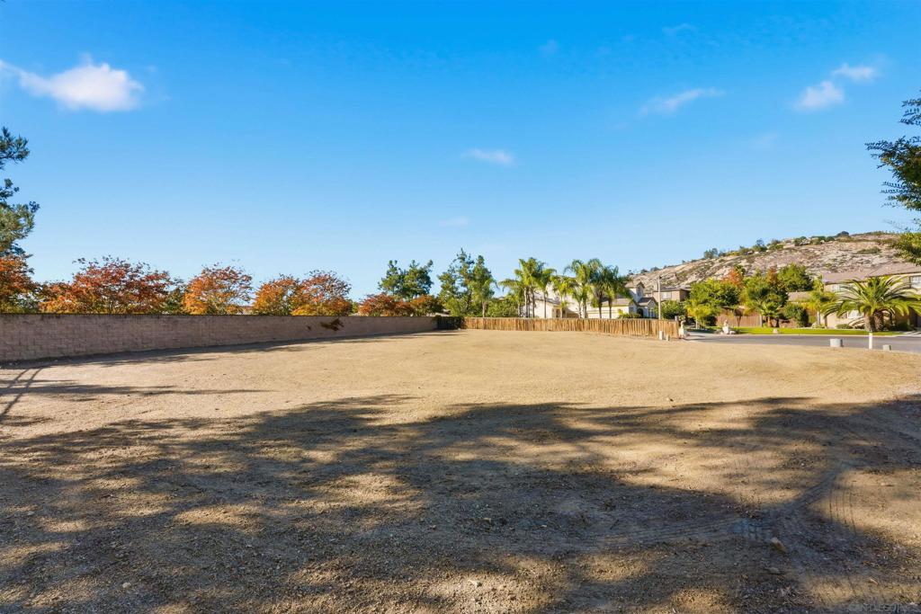 MLS #250043016SD image #8