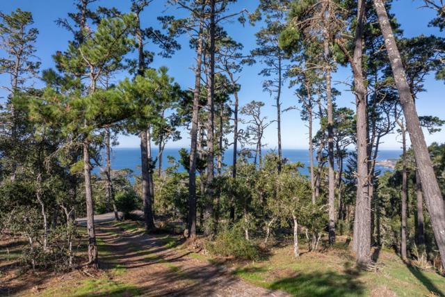 90 Crest Road, Carmel CA: https://media.crmls.org/mediaz/b6a91c76-70d2-43b7-9852-32b92ec0f9fd.jpg