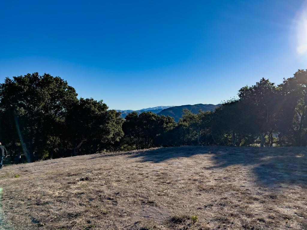 MLS #ML81990616 image #19