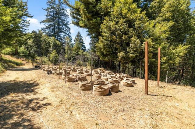 280 Sweetwater Lane, Ben Lomond CA: https://media.crmls.org/mediaz/b6bda504-331c-46c7-833e-066898144b6c.jpg