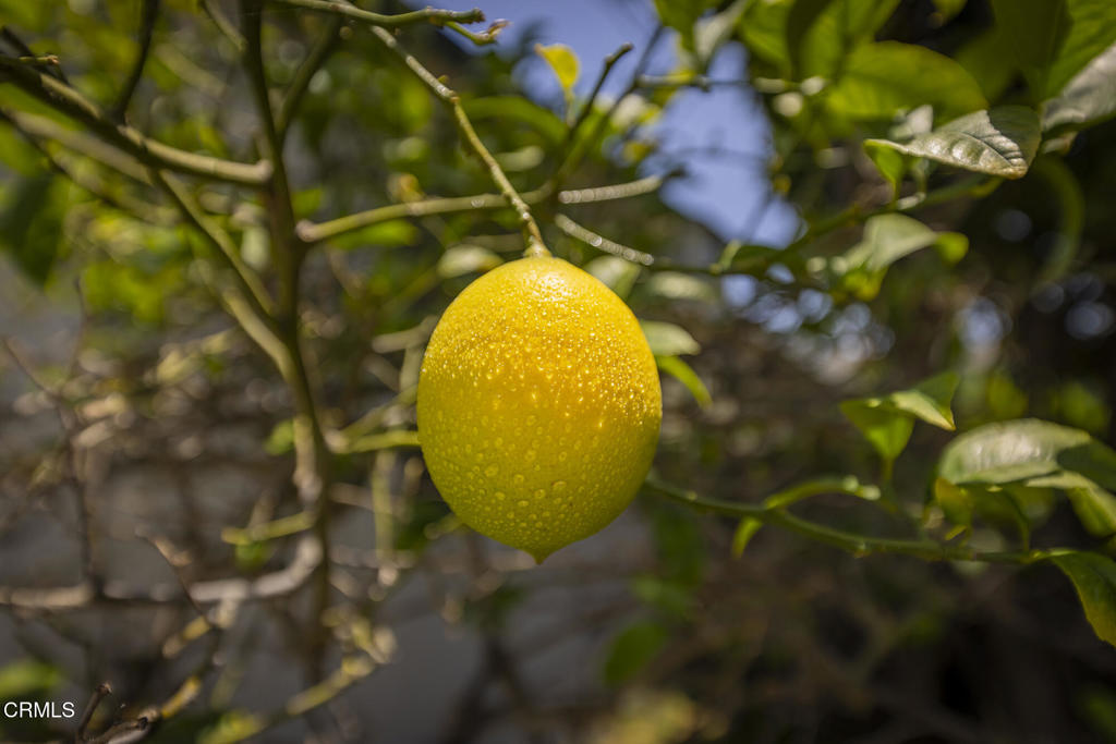 https://media.crmls.org/mediaz/b6c4e0c1-fc2f-418a-a844-8262fc9522d5.jpg?preset=X-Large
