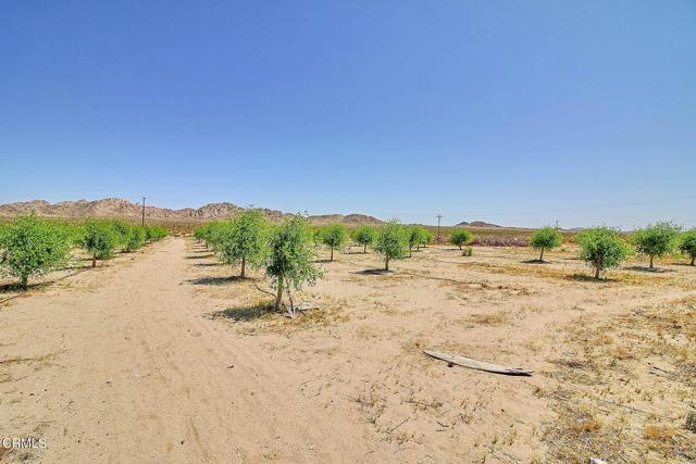 10424 Santa Fe Fire Road, Lucerne Valley CA: https://media.crmls.org/mediaz/b6caea53-239a-4f49-9092-a16f2f43bfe1.jpg