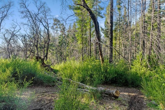 21200 Big Basin Way, Boulder Creek CA: https://media.crmls.org/mediaz/b6d4d38e-b80b-44e0-bdcd-79be9c6b86b9.jpg