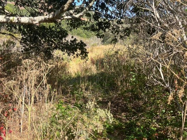 MLS #ML81942616 image #4