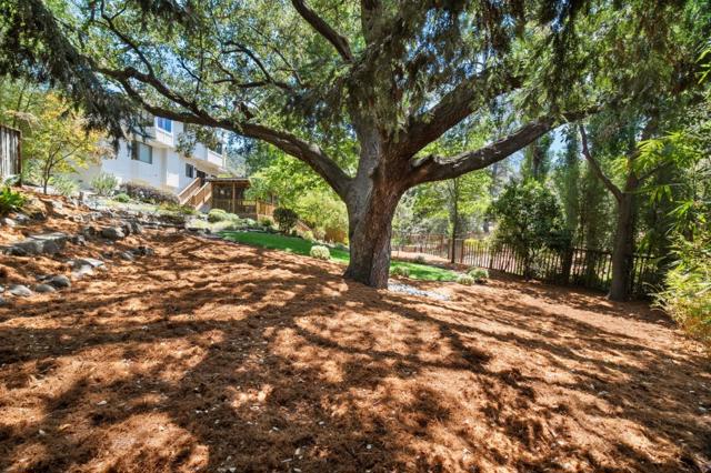 109 Johnson, Los Gatos CA: https://media.crmls.org/mediaz/b6e47349-0d41-4d11-a34c-bd4b51d19120.jpg