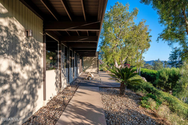 068_1430_camino_magenta_068