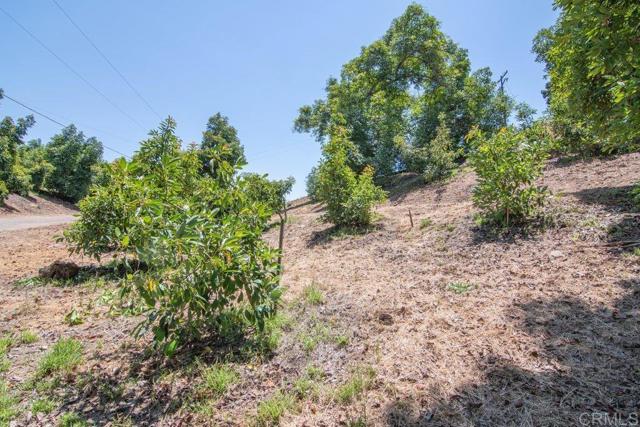 Image 64 of 75 For 3137 Valley Parkway