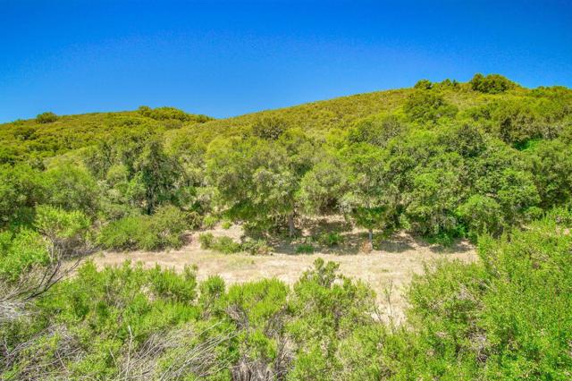 0 Creek Ranch, Carmel Valley Road, Carmel Valley CA: https://media.crmls.org/mediaz/b6f5fb60-9874-4f49-8a7a-2b035f3b857d.jpg