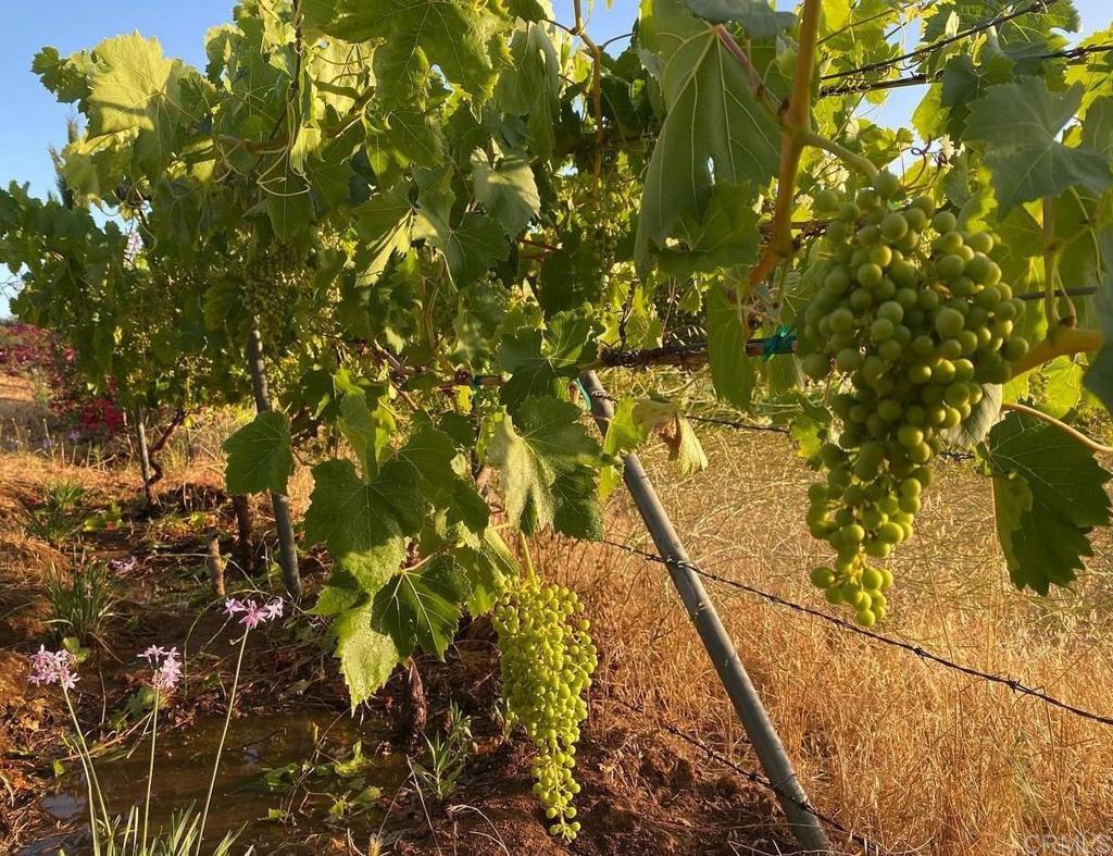 MLS #NDP2410465 image #15