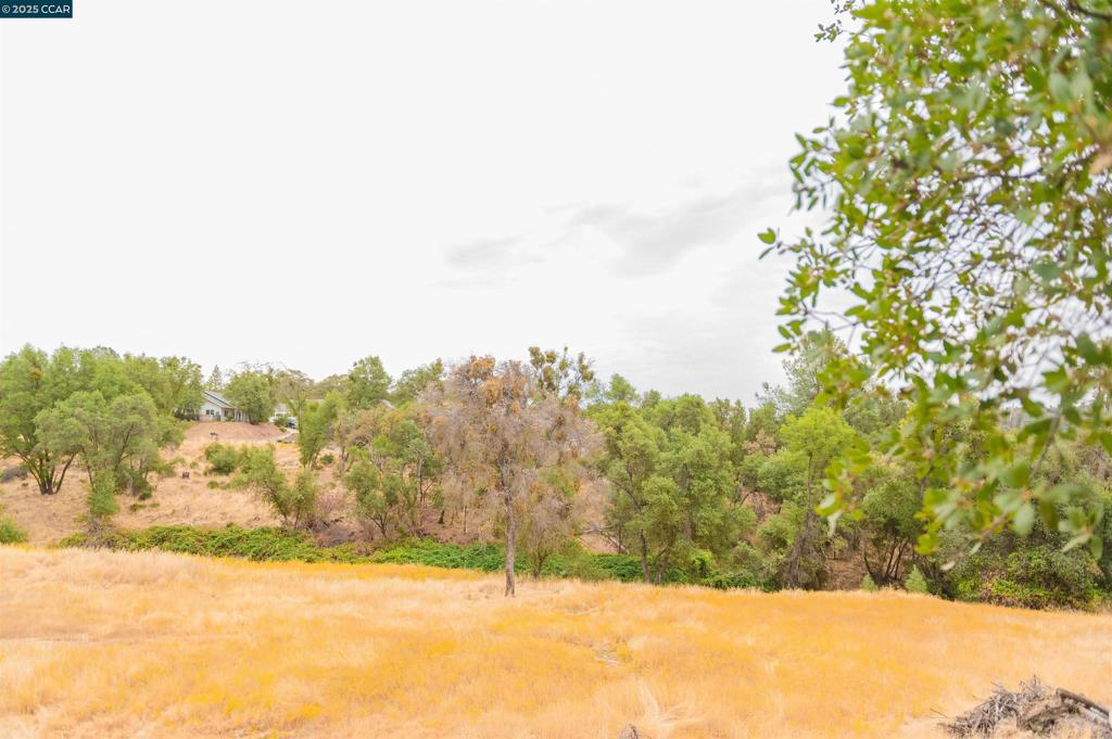 https://media.crmls.org/mediaz/b70d7372-899c-4344-aa24-e1cd14397d04.jpg?preset=X-Large