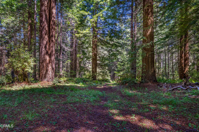 Detail Gallery Image 14 of 20 For 32100 O Bayley Dr, Fort Bragg,  CA 95437 - 3 Beds | 1 Baths