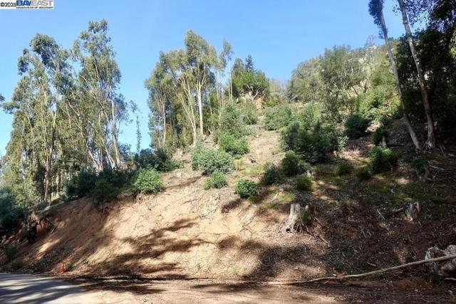 7590 Skyline Blvd, Oakland CA: https://media.crmls.org/mediaz/b711f5df-b125-45dd-971b-4e8a211d8d77.jpg