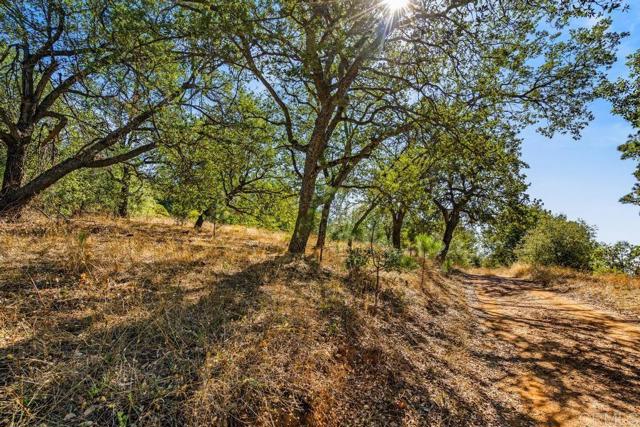 Detail Gallery Image 16 of 40 For 120 Ac Vacant Land Mesa Grande Rd, Santa Ysabel,  CA 92070 - – Beds | – Baths