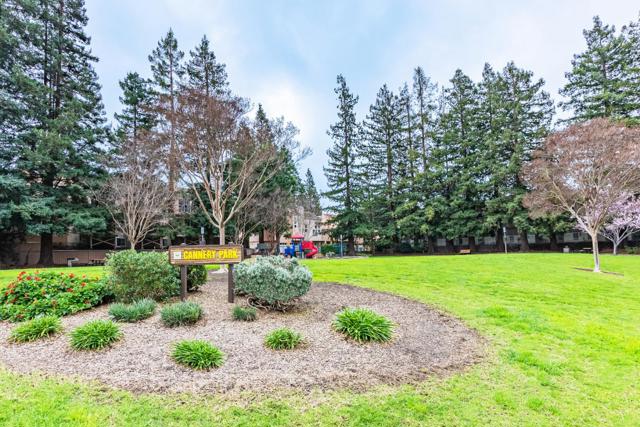 992 Alpine Terrace, Sunnyvale CA: https://media.crmls.org/mediaz/b7370f7b-df61-48dd-90bf-9bf00e2ed8bd.jpg