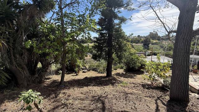 Detail Gallery Image 33 of 38 For 1905 El Dora St, Lemon Grove,  CA 91945 - 3 Beds | 2 Baths