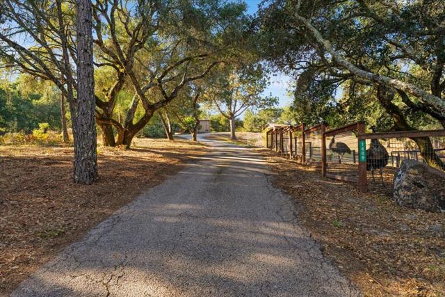 7409 Hihn Road, Ben Lomond CA: https://media.crmls.org/mediaz/b74c876b-5a5b-4948-8782-1c2f95e3ec81.jpg