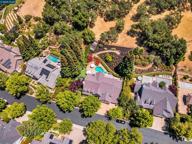 529 Justin Morgan Dr, Alamo CA: https://media.crmls.org/mediaz/b766feb7-9576-4ca2-99ae-cf0d8f3a41e4.jpg