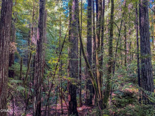 0 Irmulco Road, Willits CA: https://media.crmls.org/mediaz/b76cdedd-d9c4-4ca5-a5c2-2238f4dbcd33.jpg