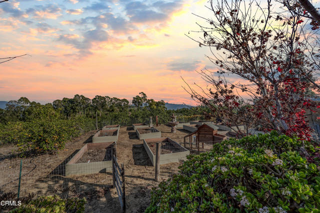 Detail Gallery Image 64 of 71 For 3742 Groves Pl, Somis,  CA 93066 - 4 Beds | 4/1 Baths