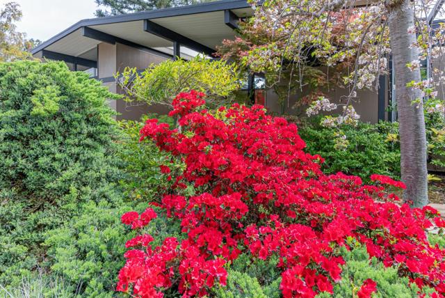 814 Beaverton Court, Sunnyvale CA: https://media.crmls.org/mediaz/b790f69f-5264-4f10-abd1-77c7f2b93bf8.jpg