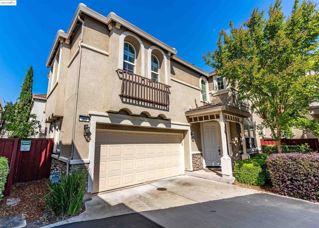 569 Primitivo Ct