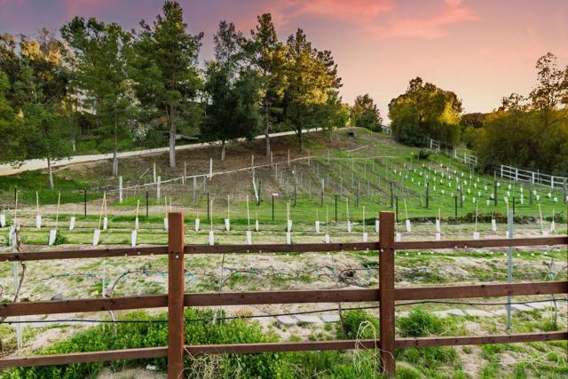 35715 Calle Nopal, Temecula CA: https://media.crmls.org/mediaz/b7993125-e19c-412f-8da5-378ddeafaebd.jpg