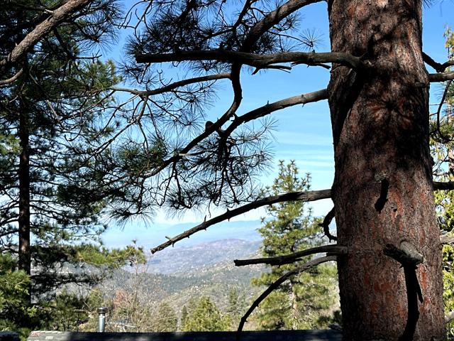 0 Green Craig, Idyllwild CA: https://media.crmls.org/mediaz/b79e0ed1-9328-4f42-9fba-2ef83880917f.jpg