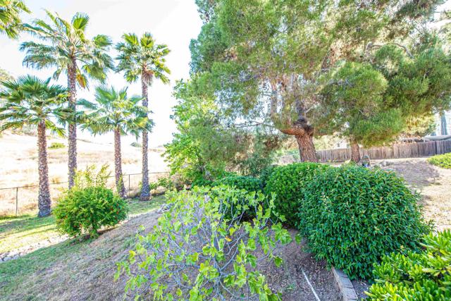 2432 Live Oak Road, Escondido CA: https://media.crmls.org/mediaz/b7a9e1aa-8634-41cc-9d99-a838a4e7f10e.jpg