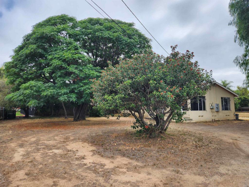 664 Fig St - photo 7