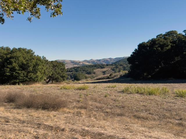 7 Holding Field Run, Carmel Valley CA: https://media.crmls.org/mediaz/b7b0700a-480d-4a13-baaf-70e096d5d5b9.jpg