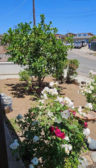 1576 Acheson Street, San Diego CA: https://media.crmls.org/mediaz/b7b617f5-8a03-44a8-a708-59c261ac9ecf.jpg