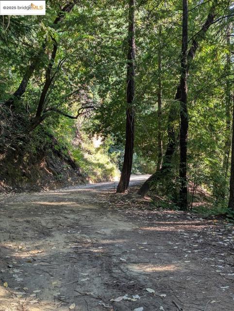 2950 Bear Canyon RD, Los Gatos CA: https://media.crmls.org/mediaz/b7c98b46-65cf-445f-b551-eabeedbbe99e.jpg