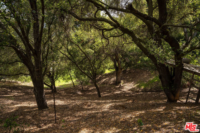 22575 Monte Vista Drive, Topanga CA: https://media.crmls.org/mediaz/b7d44069-9c00-49f3-ab00-1a5d419b800a.jpg