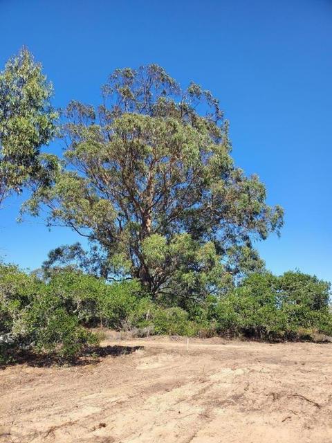 19705 Moonglow Road, Salinas CA: https://media.crmls.org/mediaz/b7dd7a21-0558-4a7b-892d-0280b152ba69.jpg