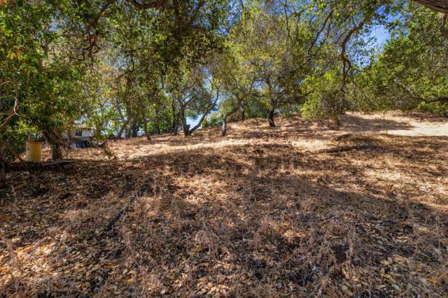 0 S Palomar Drive, Redwood City CA: https://media.crmls.org/mediaz/b7e65eea-3b23-4628-895f-32a65968a992.jpg