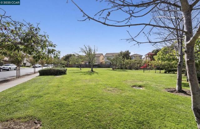 343 Accolade Drive, San Leandro CA: https://media.crmls.org/mediaz/b7e8f126-6466-4de9-b5be-39761df68b90.jpg