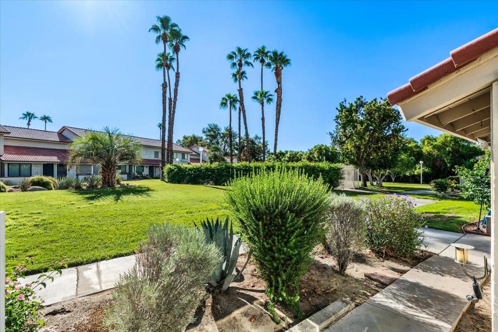 MLS #219135747DA image #3