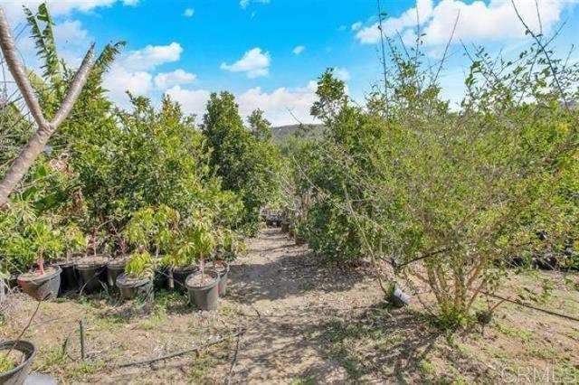 2081 Elevado Road, Vista CA: https://media.crmls.org/mediaz/b7f12616-3fe2-497d-85c0-9a2107b3256e.jpg