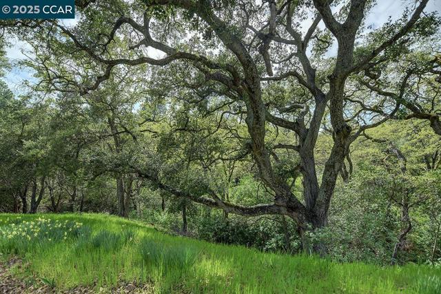 1873 Golden Rain Rd., Walnut Creek CA: https://media.crmls.org/mediaz/b7f5354a-22da-4f6b-aaab-cd237f282877.jpg